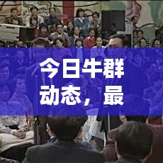 今日牛群動(dòng)態(tài)，最新消息視頻匯總