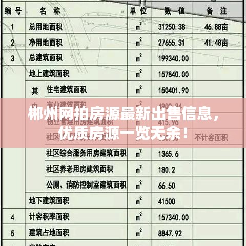郴州網(wǎng)拍房源最新出售信息，優(yōu)質(zhì)房源一覽無余！