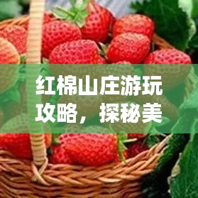 紅棉山莊游玩攻略，探秘美景，盡享度假時(shí)光！