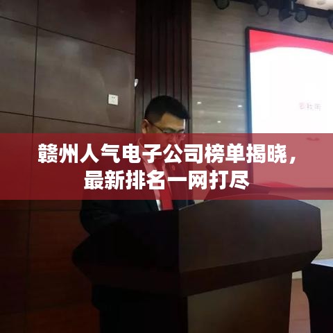 贛州人氣電子公司榜單揭曉，最新排名一網(wǎng)打盡