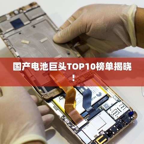 國產(chǎn)電池巨頭TOP10榜單揭曉！