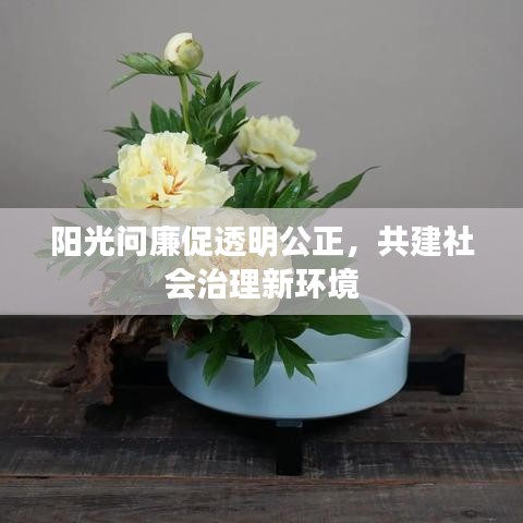 陽光問廉促透明公正，共建社會治理新環(huán)境