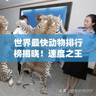 世界最快動(dòng)物排行榜揭曉！速度之王究竟是誰(shuí)？