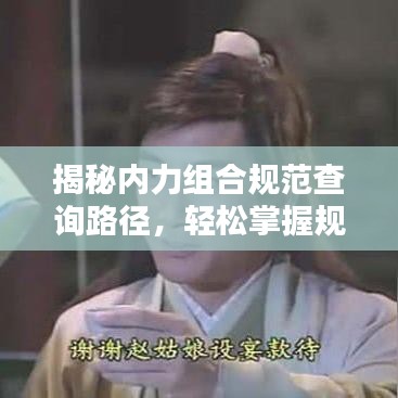 揭秘內(nèi)力組合規(guī)范查詢路徑，輕松掌握規(guī)范信息