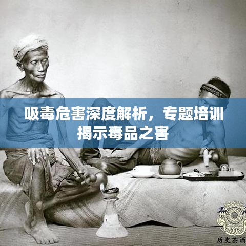 吸毒危害深度解析，專題培訓(xùn)揭示毒品之害