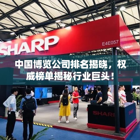 中國(guó)博覽公司排名揭曉，權(quán)威榜單揭秘行業(yè)巨頭！