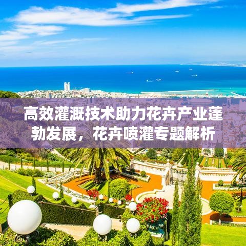 高效灌溉技術(shù)助力花卉產(chǎn)業(yè)蓬勃發(fā)展，花卉噴灌專題解析