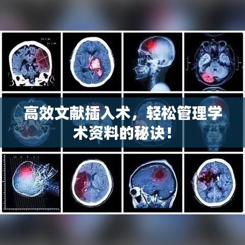 高效文獻(xiàn)插入術(shù)，輕松管理學(xué)術(shù)資料的秘訣！