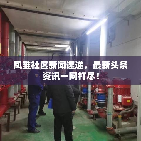 鳳雛社區(qū)新聞速遞，最新頭條資訊一網(wǎng)打盡！