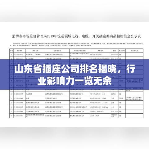 山東省插座公司排名揭曉，行業(yè)影響力一覽無余