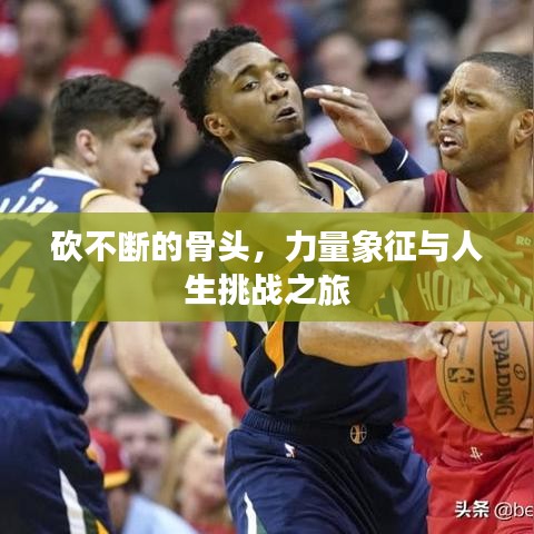 砍不斷的骨頭，力量象征與人生挑戰(zhàn)之旅