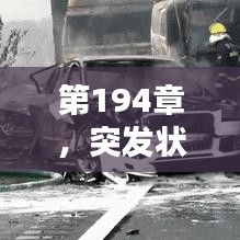 第194章，突發(fā)狀況緊急來(lái)襲