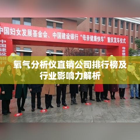 氧氣分析儀直銷公司排行榜及行業(yè)影響力解析