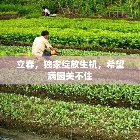 立春，獨(dú)家綻放生機(jī)，希望滿園關(guān)不住