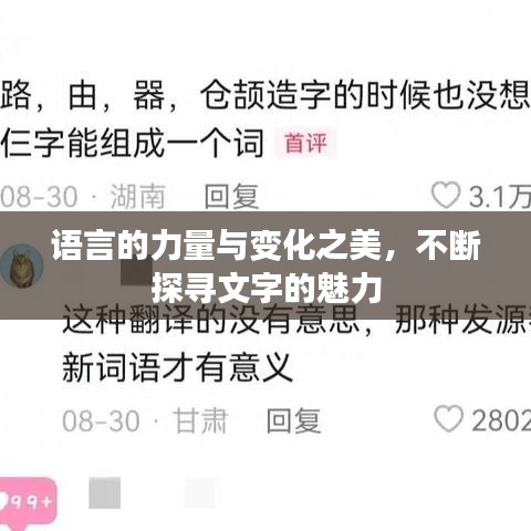 語言的力量與變化之美，不斷探尋文字的魅力