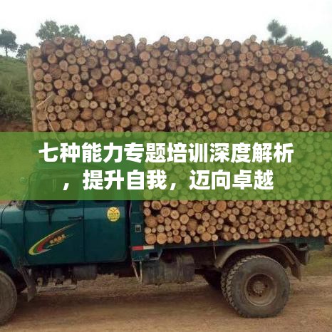 七種能力專題培訓(xùn)深度解析，提升自我，邁向卓越
