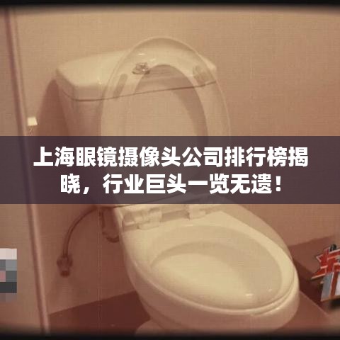 上海眼鏡攝像頭公司排行榜揭曉，行業(yè)巨頭一覽無(wú)遺！