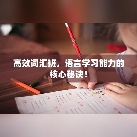 高效詞匯班，語(yǔ)言學(xué)習(xí)能力的核心秘訣！