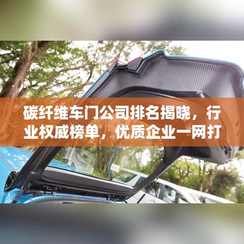 碳纖維車門公司排名揭曉，行業(yè)權(quán)威榜單，優(yōu)質(zhì)企業(yè)一網(wǎng)打盡！