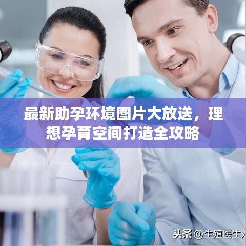 最新助孕環(huán)境圖片大放送，理想孕育空間打造全攻略