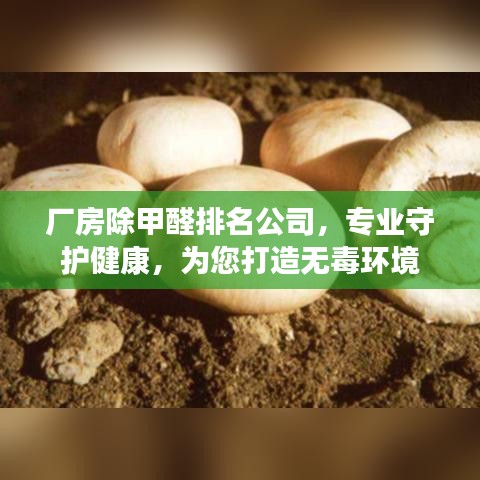 廠房除甲醛排名公司，專業(yè)守護健康，為您打造無毒環(huán)境