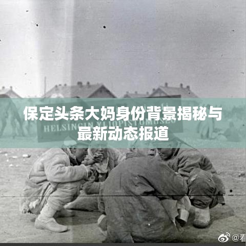 保定頭條大媽身份背景揭秘與最新動態(tài)報(bào)道