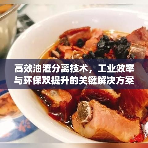 高效油渣分離技術(shù)，工業(yè)效率與環(huán)保雙提升的關(guān)鍵解決方案
