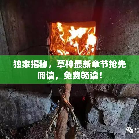 獨(dú)家揭秘，草神最新章節(jié)搶先閱讀，免費(fèi)暢讀！