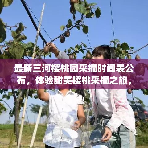 最新三河櫻桃園采摘時(shí)間表公布，體驗(yàn)甜美櫻桃采摘之旅，盡享自然盛宴！