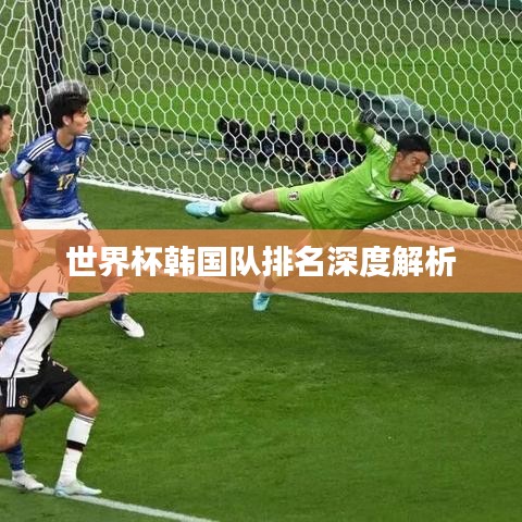 世界杯韓國隊排名深度解析