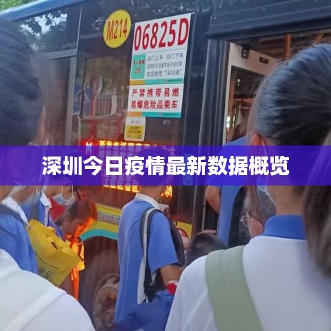 深圳今日疫情最新數(shù)據(jù)概覽