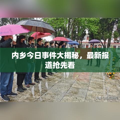 內(nèi)鄉(xiāng)今日事件大揭秘，最新報(bào)道搶先看