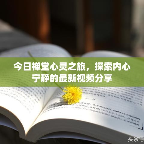 今日禪堂心靈之旅，探索內(nèi)心寧靜的最新視頻分享