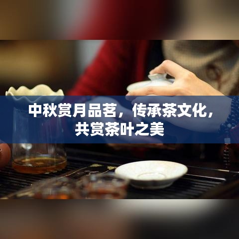 中秋賞月品茗，傳承茶文化，共賞茶葉之美