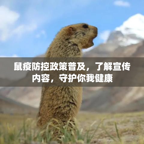鼠疫防控政策普及，了解宣傳內(nèi)容，守護(hù)你我健康