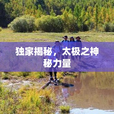 獨家揭秘，太極之神秘力量