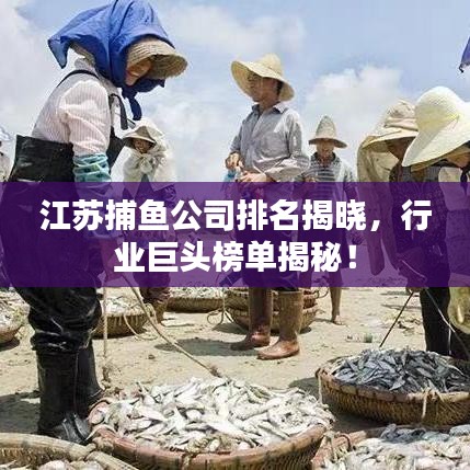 江蘇捕魚公司排名揭曉，行業(yè)巨頭榜單揭秘！