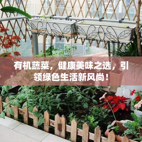 有機蔬菜，健康美味之選，引領(lǐng)綠色生活新風(fēng)尚！