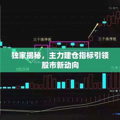 獨家揭秘，主力建倉指標引領(lǐng)股市新動向