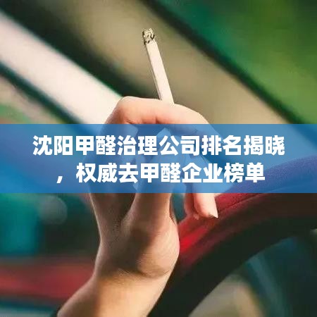 沈陽甲醛治理公司排名揭曉，權(quán)威去甲醛企業(yè)榜單