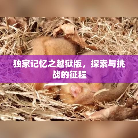 獨家記憶之越獄版，探索與挑戰(zhàn)的征程