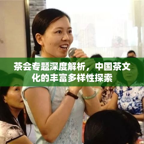 茶會專題深度解析，中國茶文化的豐富多樣性探索