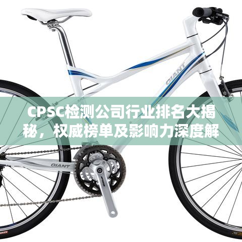 CPSC檢測公司行業(yè)排名大揭秘，權威榜單及影響力深度解析