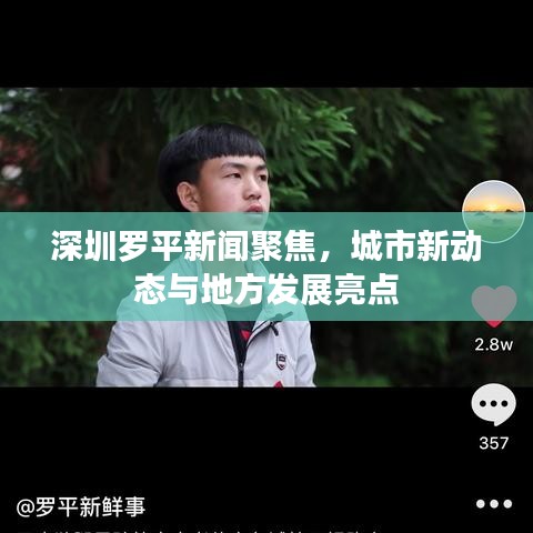 深圳羅平新聞聚焦，城市新動態(tài)與地方發(fā)展亮點