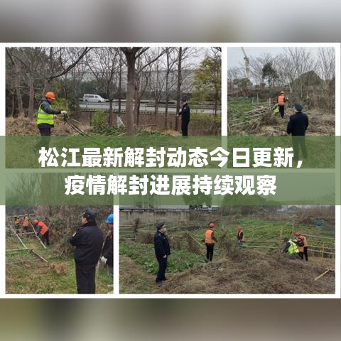 松江最新解封動態(tài)今日更新，疫情解封進展持續(xù)觀察