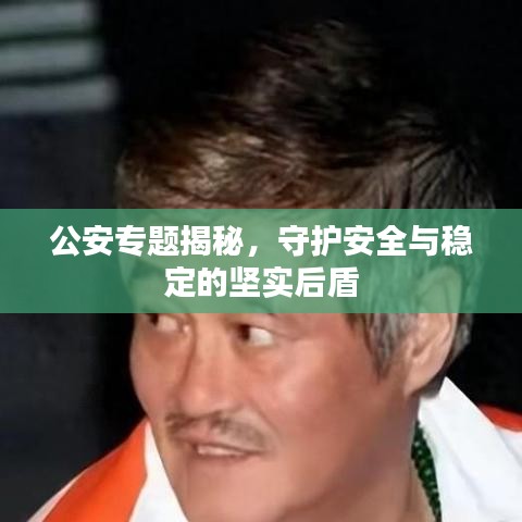 公安專題揭秘，守護(hù)安全與穩(wěn)定的堅(jiān)實(shí)后盾