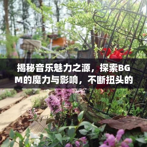 揭秘音樂魅力之源，探索BGM的魔力與影響，不斷扭頭的韻律震撼