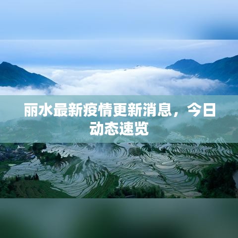 麗水最新疫情更新消息，今日動態(tài)速覽
