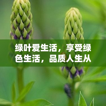綠葉愛生活，享受綠色生活，品質(zhì)人生從這里開始！