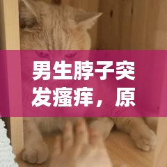 男生脖子突發(fā)瘙癢，原因解析、處理方法與預(yù)防策略